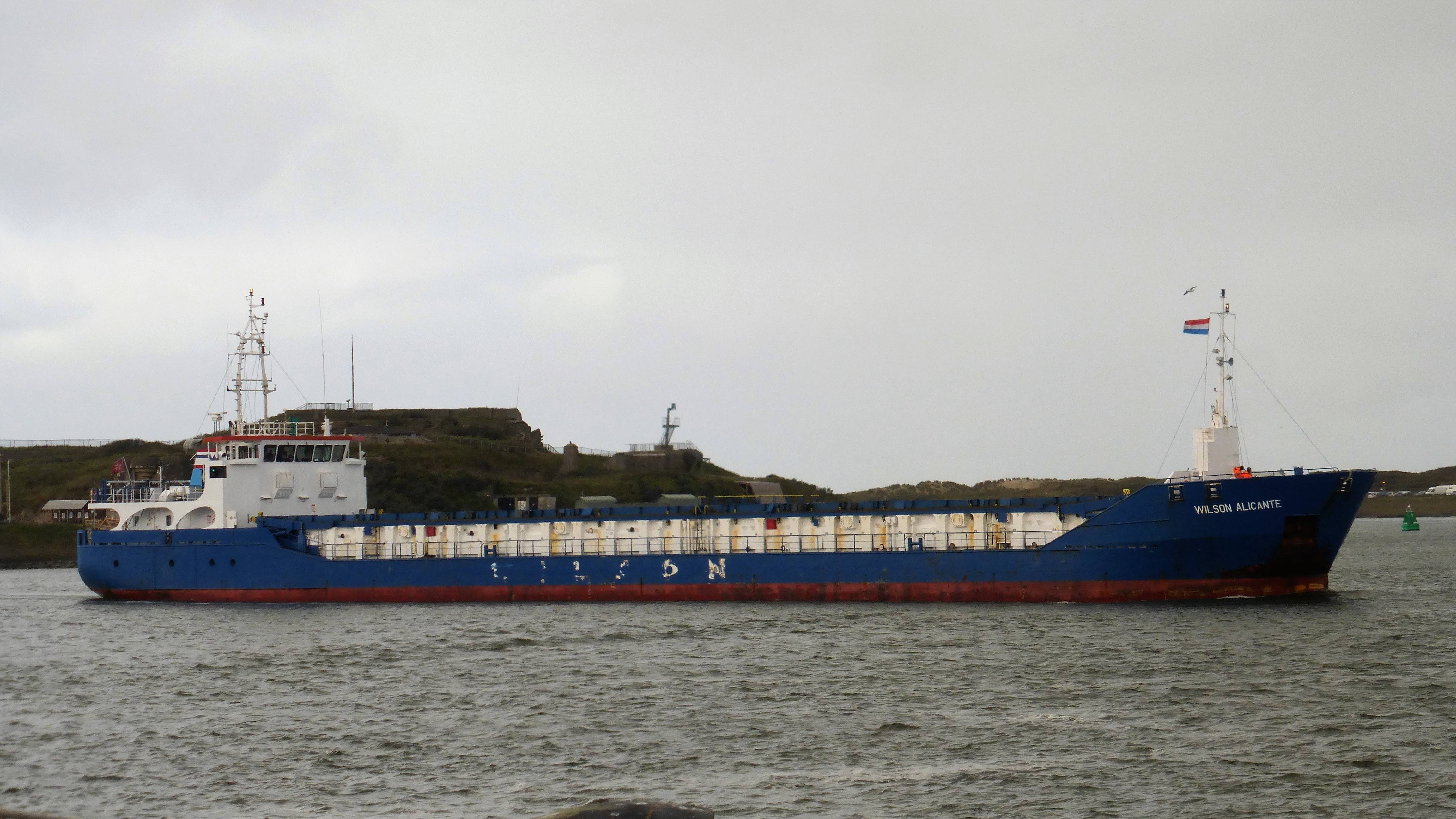 WILSON ALICANTE 